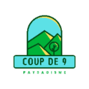 CoupDe9