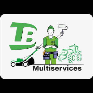 Theo T. (multiservice.tb)