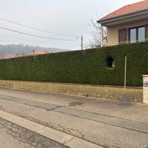 Lorenzo B. (LTS paysage)