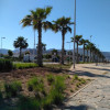 Assia A.