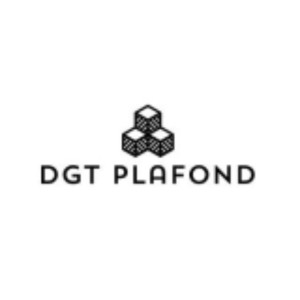 Damien T. (Dgt plafond)