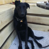 avatar Lydia P.<