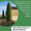 avatar Yves L. (Yves Paysages)<
