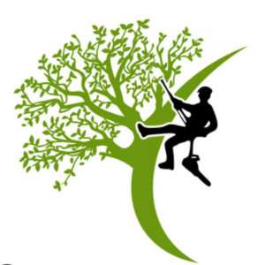 David S. (David, espaces vert)