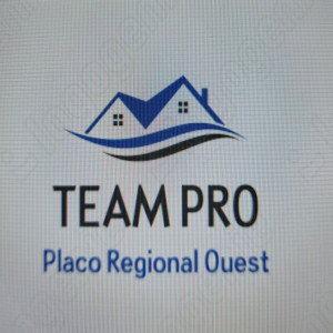 Alexandru O. (Team pro)