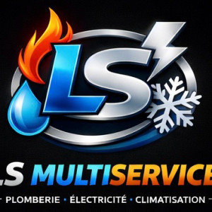 Laurent S. (LS multiservice)