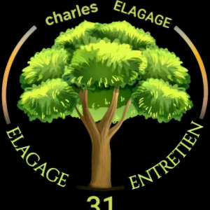 Charles L.