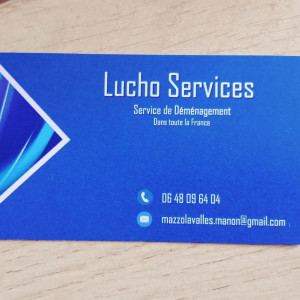 Luis Bobadilla B. (Lucho Services)