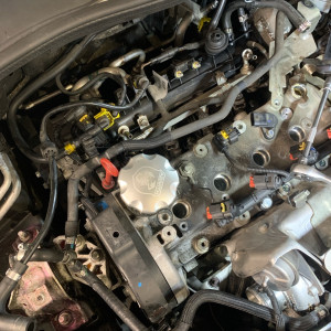 Sébastien N. (La Bastide du Lot)