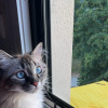 Anouk M.