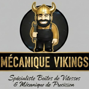 Goulvenn D. (Mécanique Vikings)