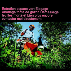 Nicolas C. (Nc espace vert 31)