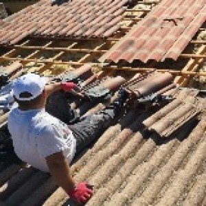 Antony D. (dettinger renov)