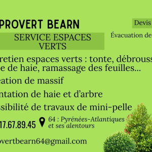 Kevin S. (Provert Bearn)