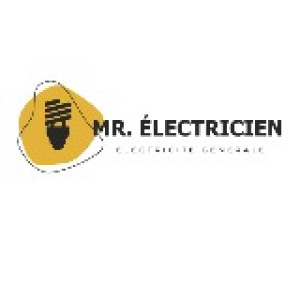 Mr E. (Mr electricien)