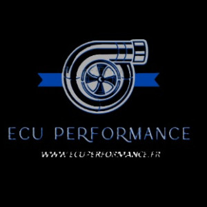 Anis B. (ECU PERFORMANCE)