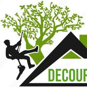 Motte M. (L'as Du Marché)