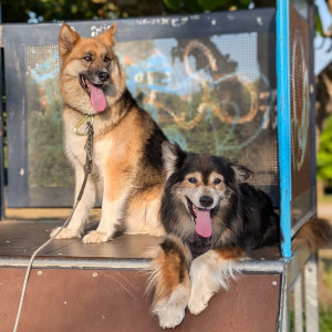 Sandrine O. (Patt'House)