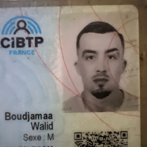 Walid B. (bw telecom)