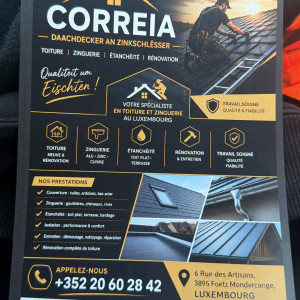 Antonio Silva B. (vision correia)
