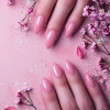 avatar Manails A.<