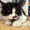 Simon R.