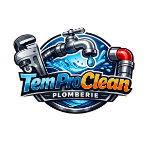 Temerlan K. (TemProClean)