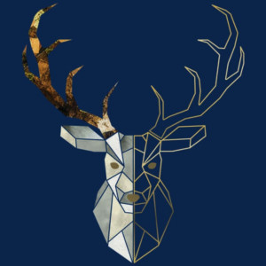 Romain B. (Romain déco concept)