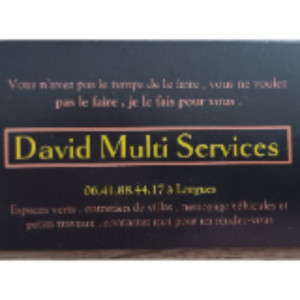 David D. (David Multi Services)