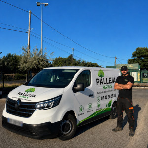 Mingo P. (Palleja)