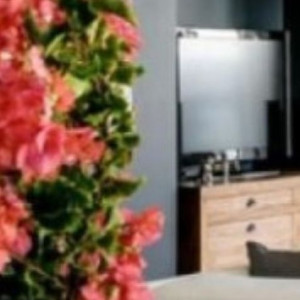 François Et Cathy L.