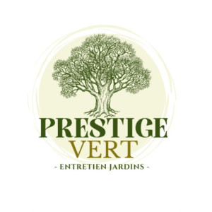 Romain D. (Prestige Vert)