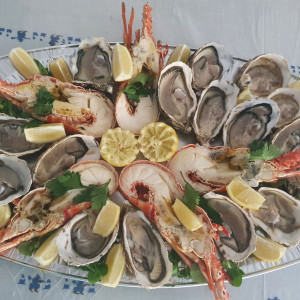 Lovahalivola R.