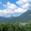 Nicolas T.