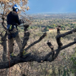 Jonathan G. (Llupia bois)