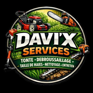 David B. (Davi’x Services)