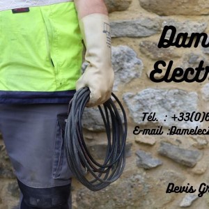 Dam’elec