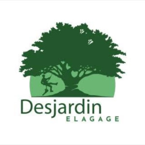 Bryan D. (Entreprise Desjardin)