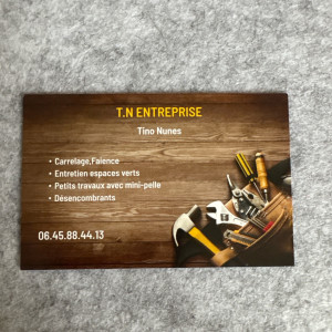 Tino N. (T.N ENTRETIENT)