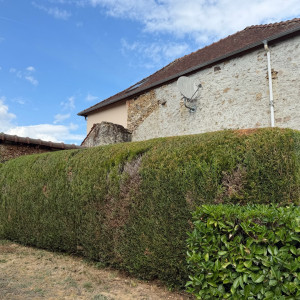 Adrien L. (Jardins&Sérénité)