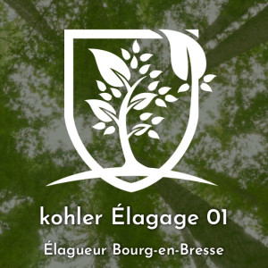 Chun K. (Kohler Elagage 01)