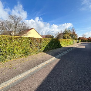 Daniel D. (b jardin)