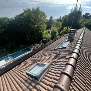 Willy F. (fw couverture)