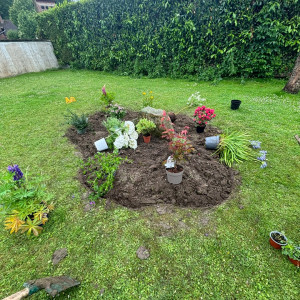 Lucas C. (l’écorce d’arbre)