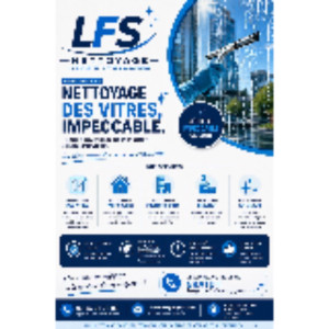 Louis F. (LFS nettoyage)