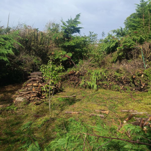 Madjid N. (Chabane nettoyage)