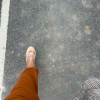 avatar Graciela D.<