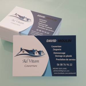 David (Ad Vitam Couverture)