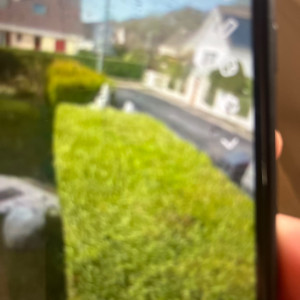 Manuel L. (Lepiller)