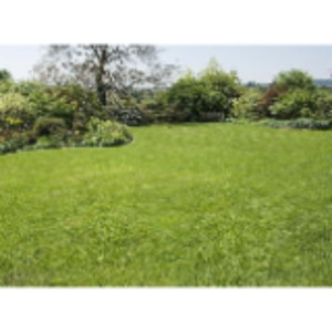 Ousmane B. (BA ENTREPRISE)